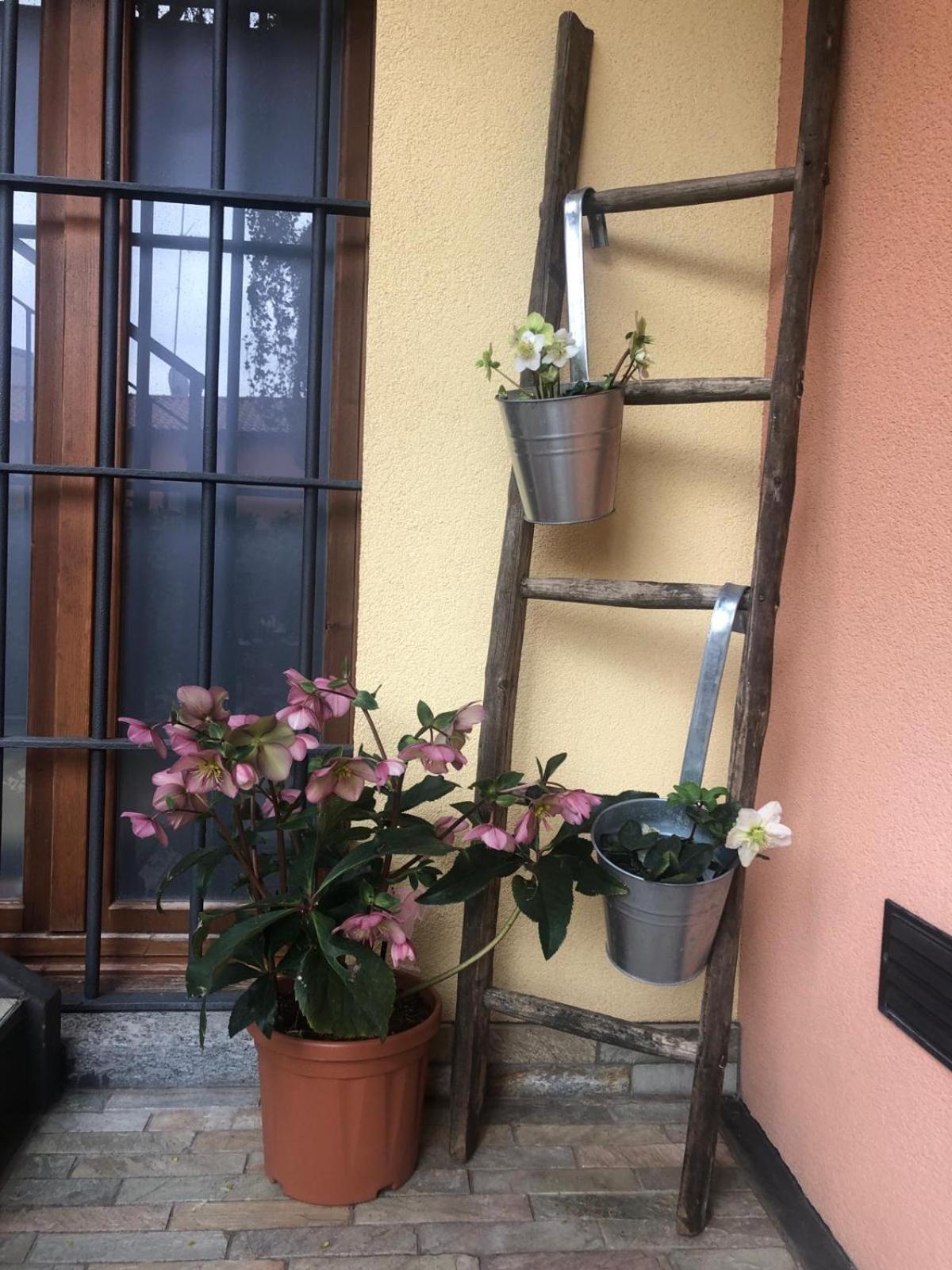 A Due Passi Dal Castello Panzió Somma Lombardo Kültér fotó